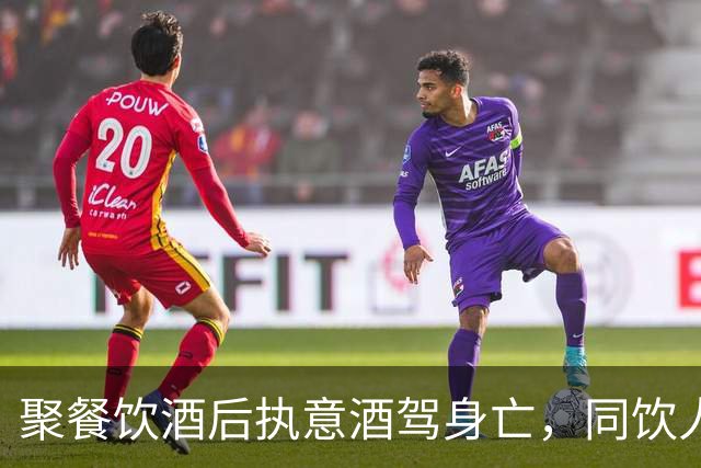 聚餐饮酒后执意酒驾身亡，同饮人、餐厅经营者是否担责？